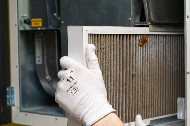 Best Air Duct Cleaning Near Me  in Stanley, VA