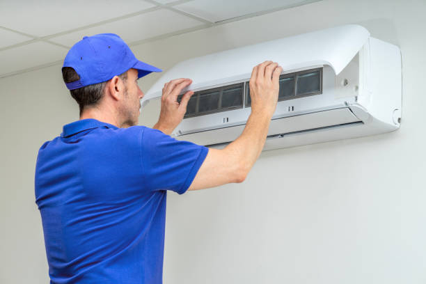 Best Air Duct Mold Removal  in Stanley, VA
